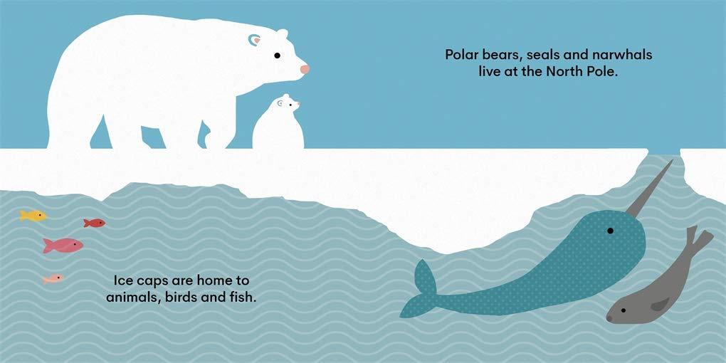 Sách ngoại văn: Eco Baby - Ice Caps