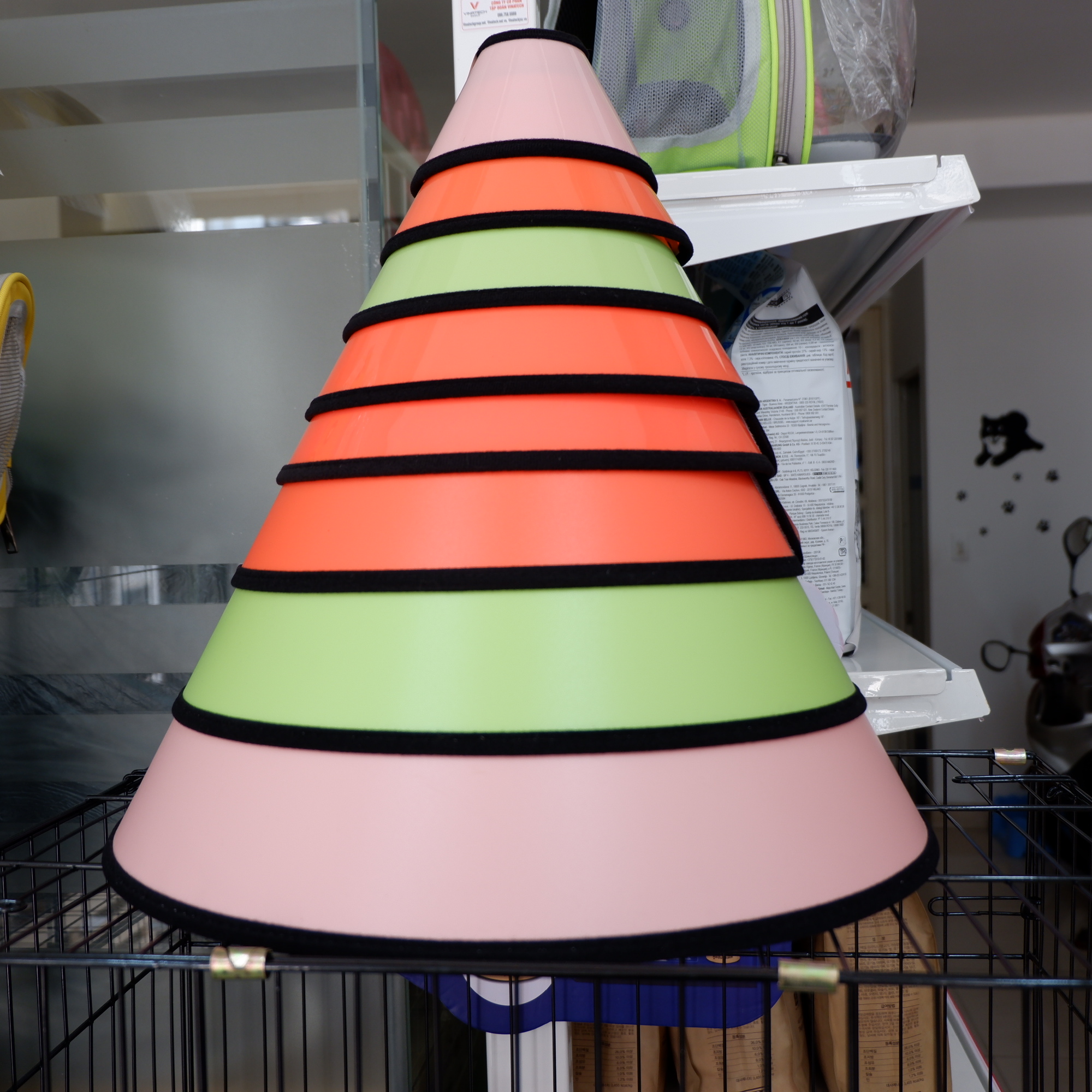 Vòng chống liếm bôi thuốc cho chó mèo