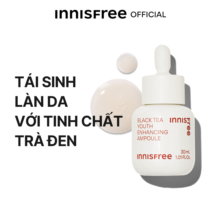 Tinh chất phục hồi da và chống lão hóa trà đen innisfree Black Tea Youth Ampoule 50 mL (New 2023)