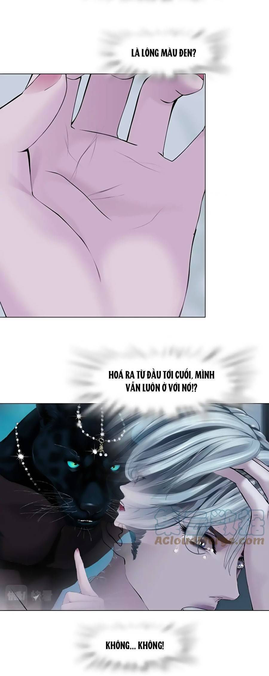 đằng nữ chapter 147 17