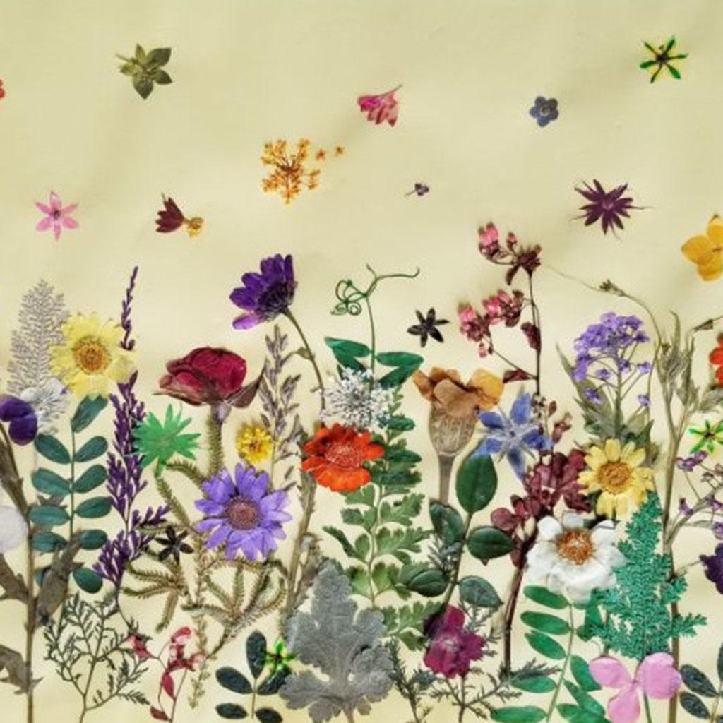 1 Bag Of Real Dried Pressed Flowers Leaves Assorted Colors for Making Greeting Card and Crafts, 2 - 3cm