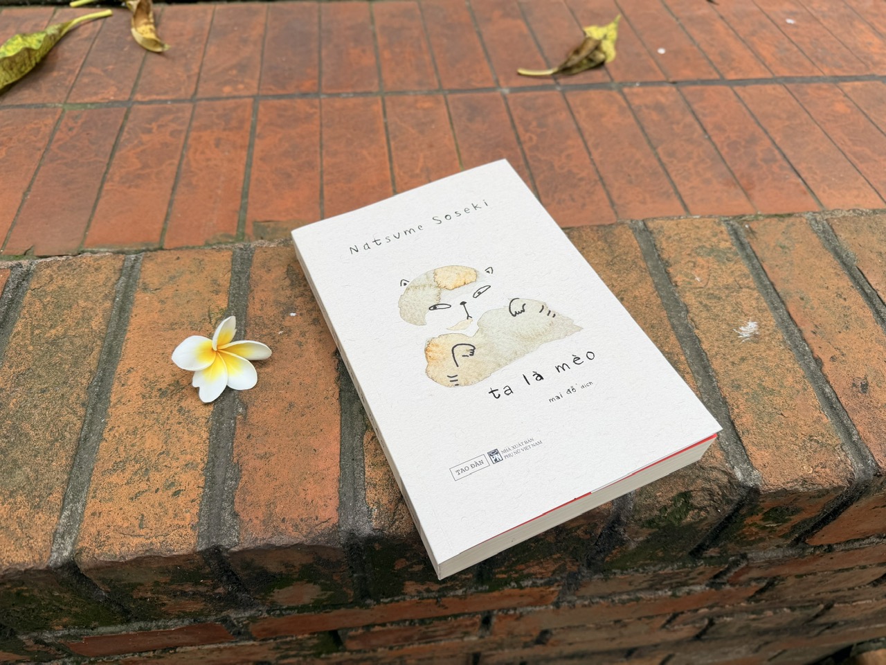 Ta Là Mèo - Natsume Soseki