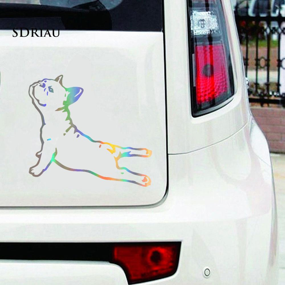 Decal Dán Trang Trí Chống Trầy Chống Thấm Nước Cho Xe Hơi
