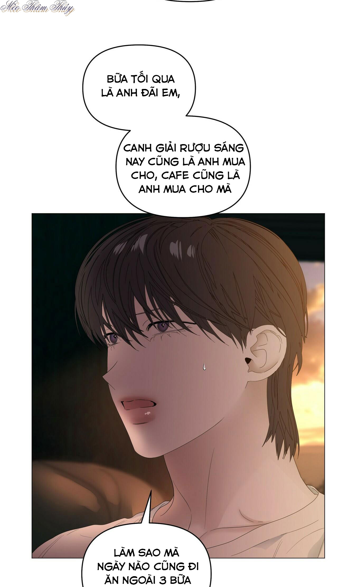 Hội chứng chapter 38