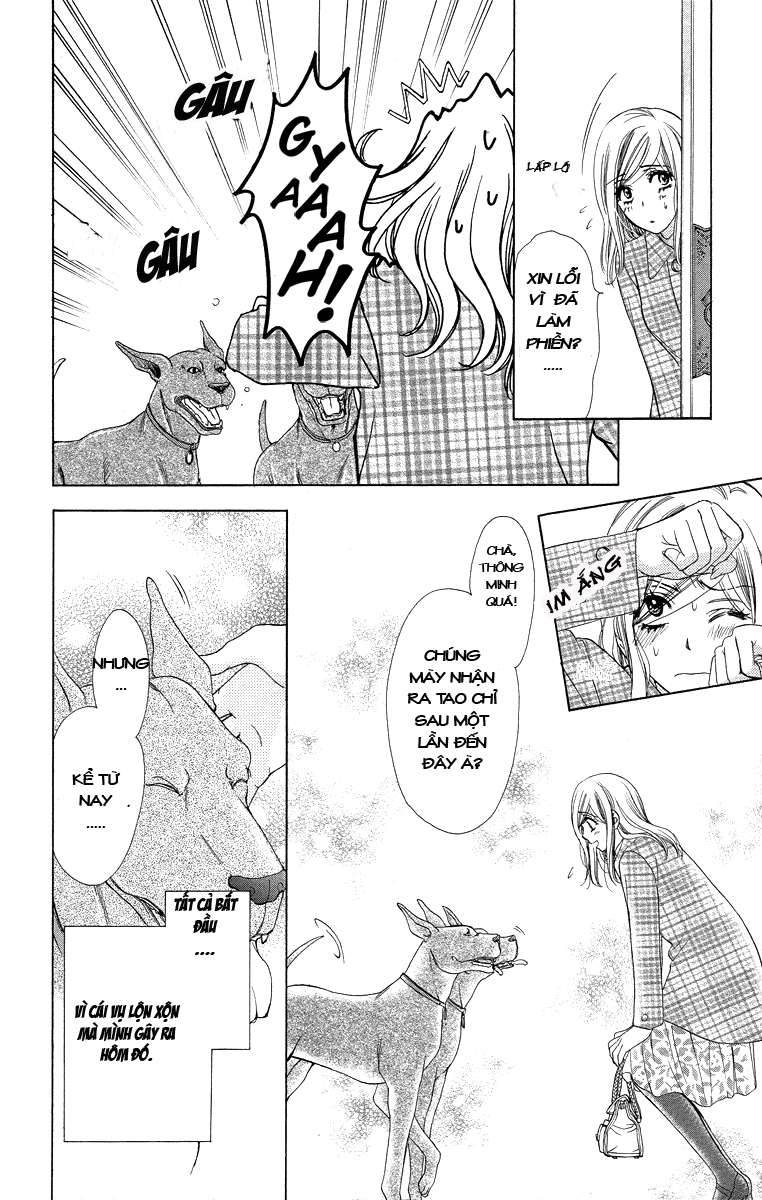 hapi mari chapter 15 3