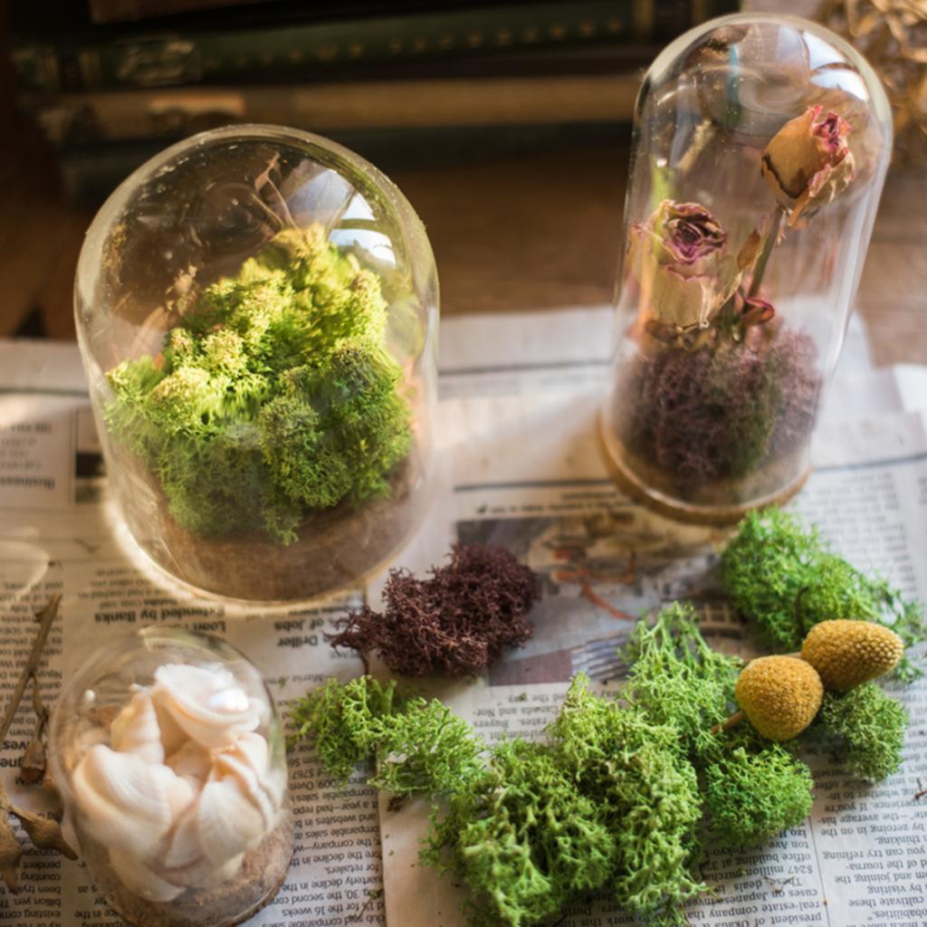 4xGlass Cover Landscape Terrarium Container Lid Vase Bottle 8x18cm