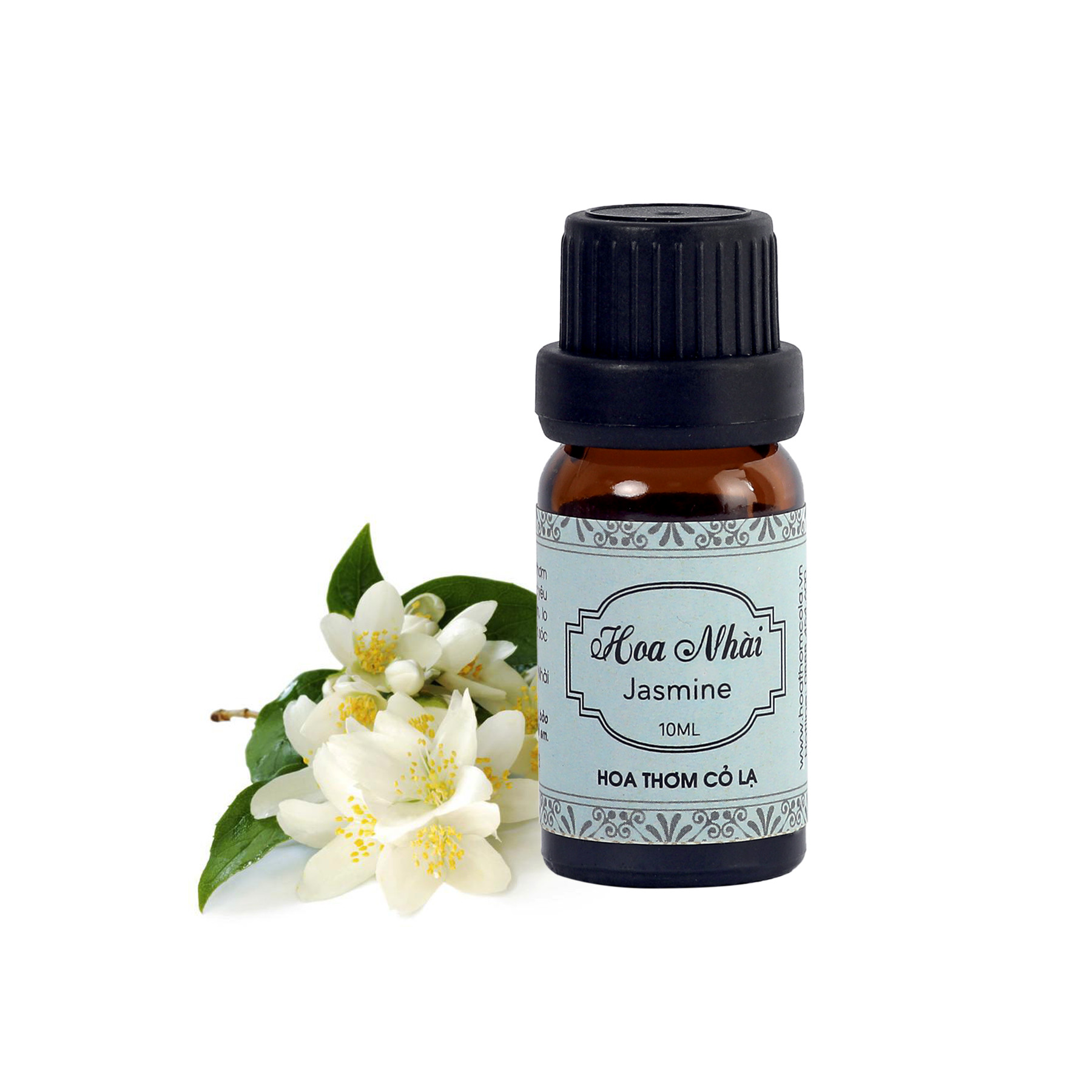 Tinh Dầu Hoa Nhài Cao Cấp (Absolute) - Jasmine Essential Oil 5ml - Hoa Thơm Cỏ Lạ