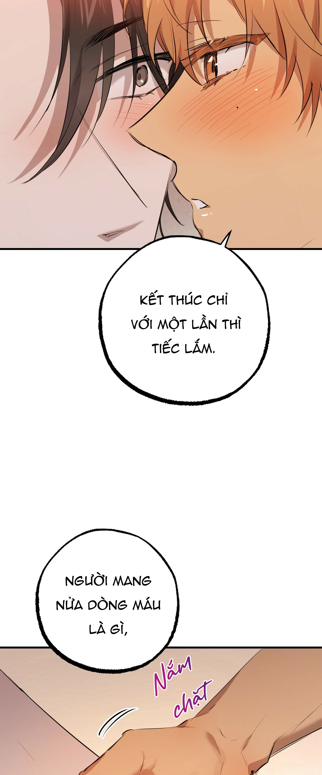 những chú thỏ của hapypy chapter 27 41