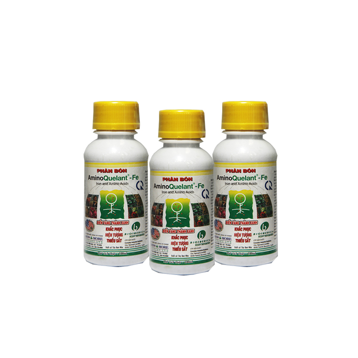 Combo 3 chai phân bón Amino-Fe (100ml/chai) - bổ sung sắt cho cây, tạo màu cho hoa lan, kiểng, bonsai, cây ăn trái