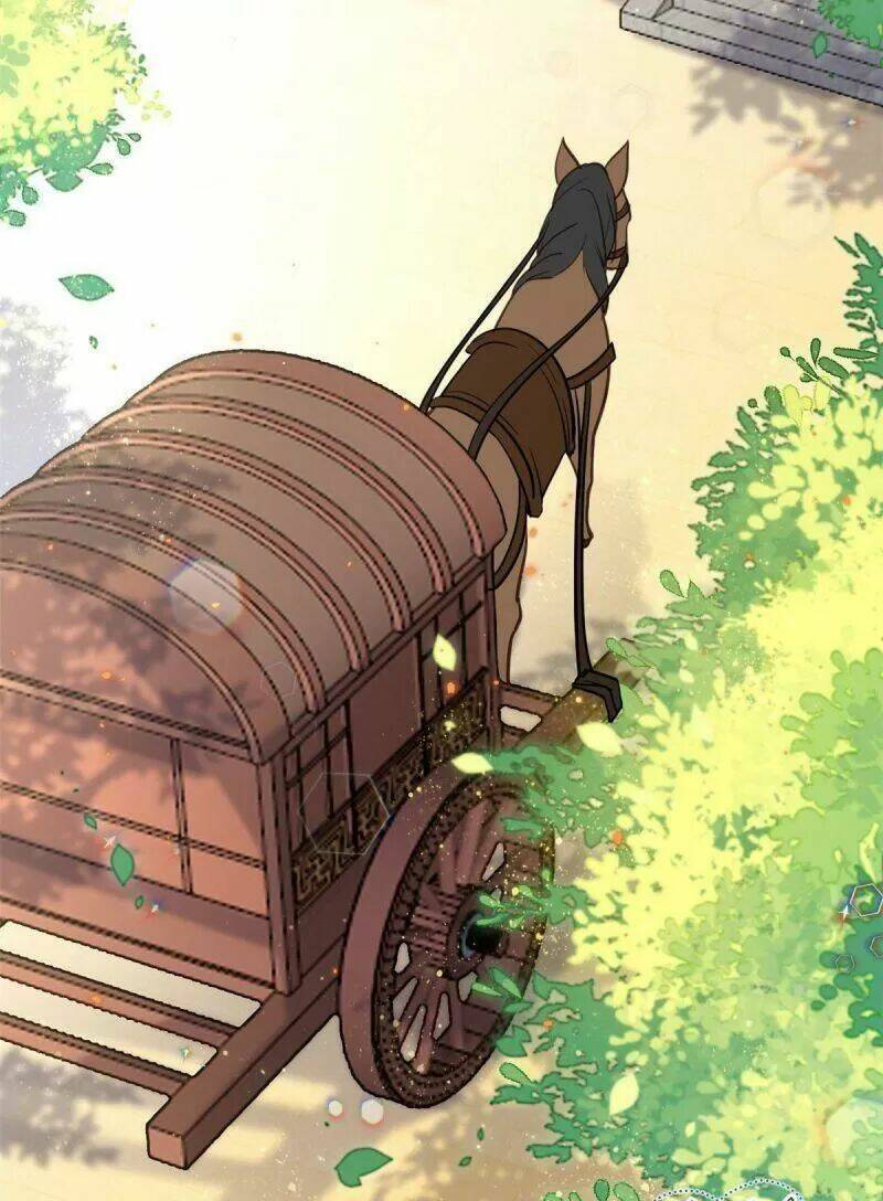 thiều quang mạn chapter 11 11