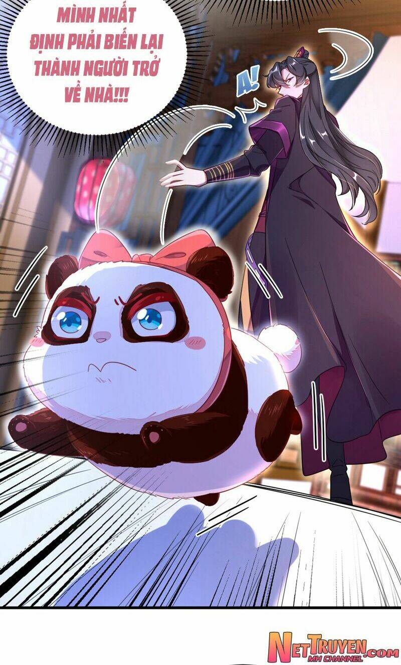 thiên thần gấu trúc muốn được ôm chapter 25 15