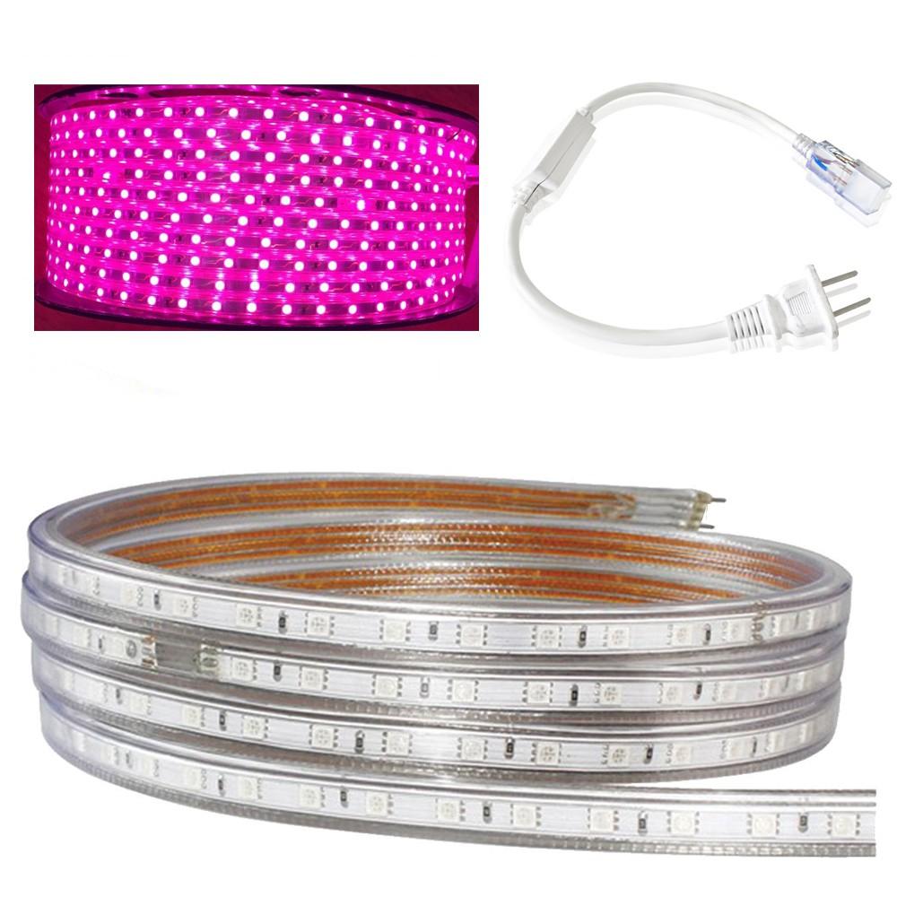 Cuộn 100 mét đèn Led dây 5050 ánh sáng hồng