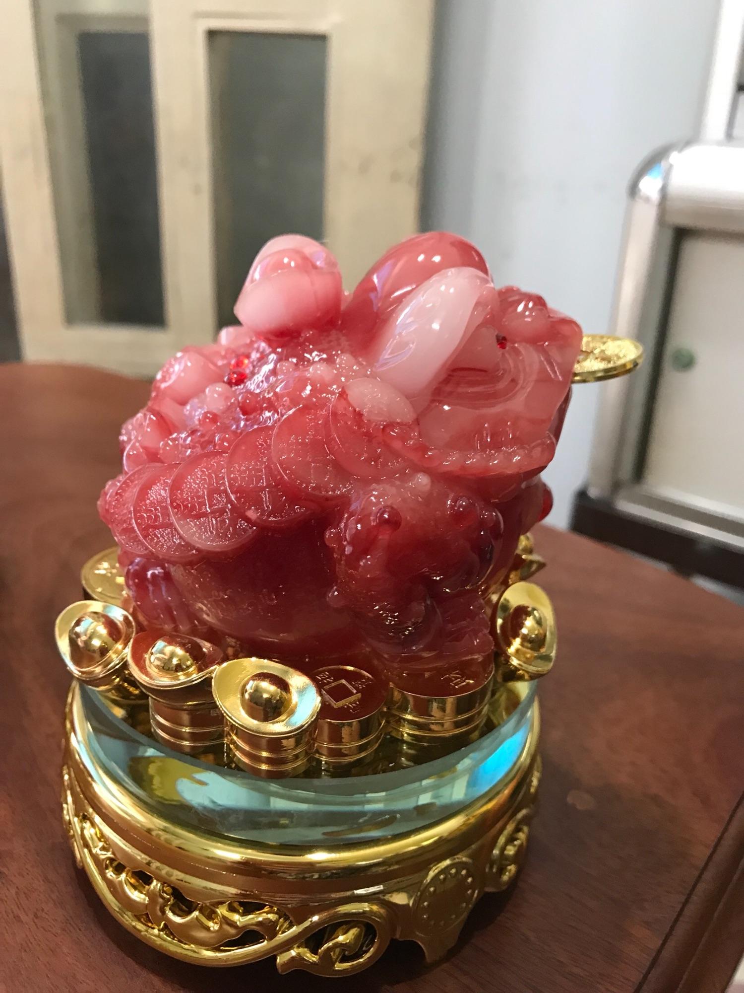 Tượng Cóc đỏ cõng thỏi vàng thiềm thừ phong thủy đế xoay cao 13cm đk 11cm hợp mệnh hỏa mệnh thổ ạ