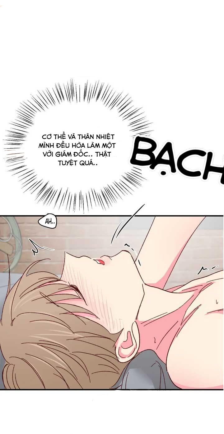 món tráng miệng của sếp tổng chapter 63 38