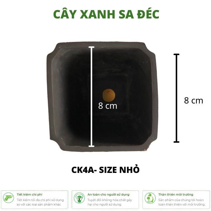 Bộ chậu vuông mini dáng cao CK4 màu trơn tối giản nhiều kích thước trồng bonsai mini, sen đá để bàn