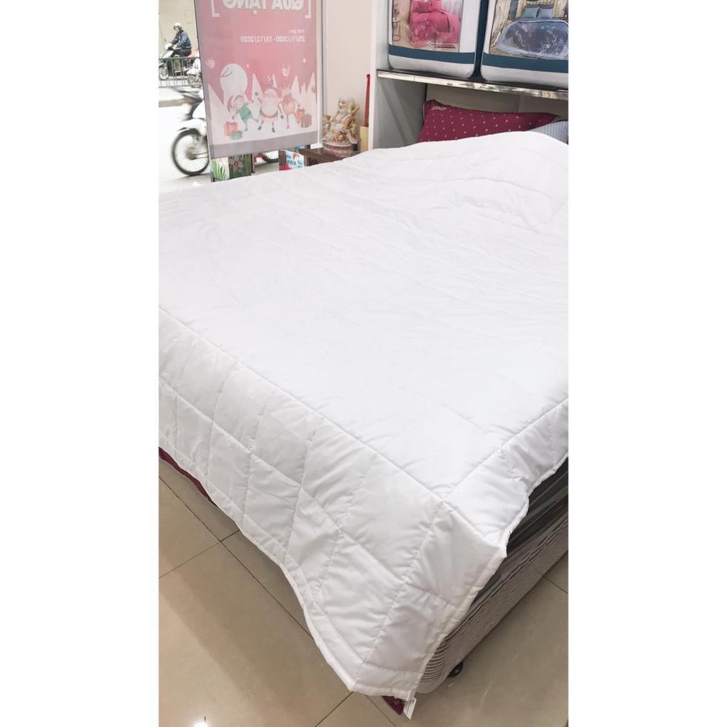 Ruột chăn hè thu cao cấp bông TCM Hanvico