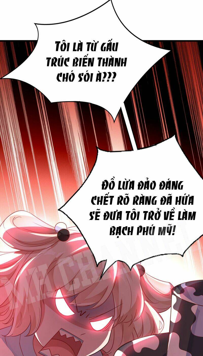 thiên thần gấu trúc muốn được ôm chapter 19 6