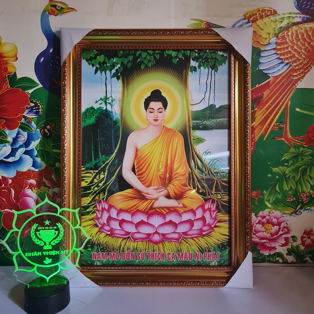 Tranh Phật Thích Ca có khung_PTCK2