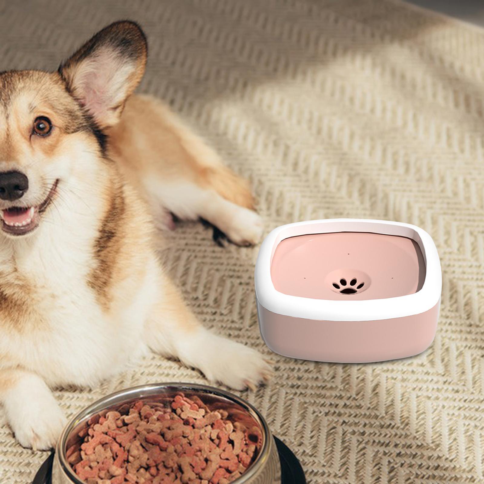 Automatic Water Dispenser Cat Dog Drinking Pet Feeder Floating Puppy Kitten