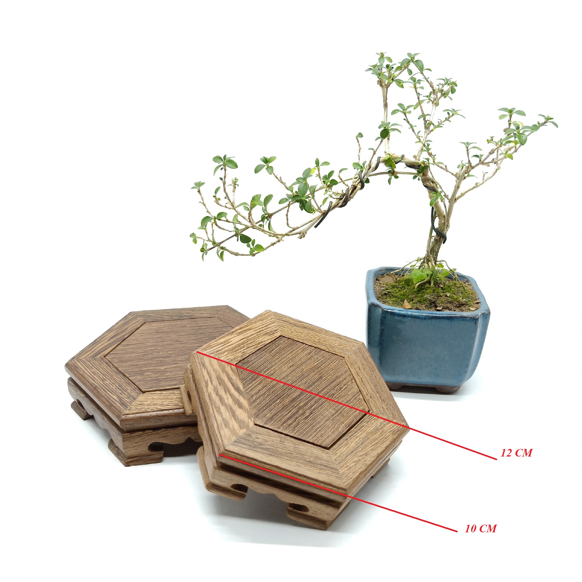 Đôn Tầu Bằng Gỗ Dùng Kê Ấm Chén Trà, Lư Hương, Chậu Cây Bonsai Với Nhiều Kích Thước