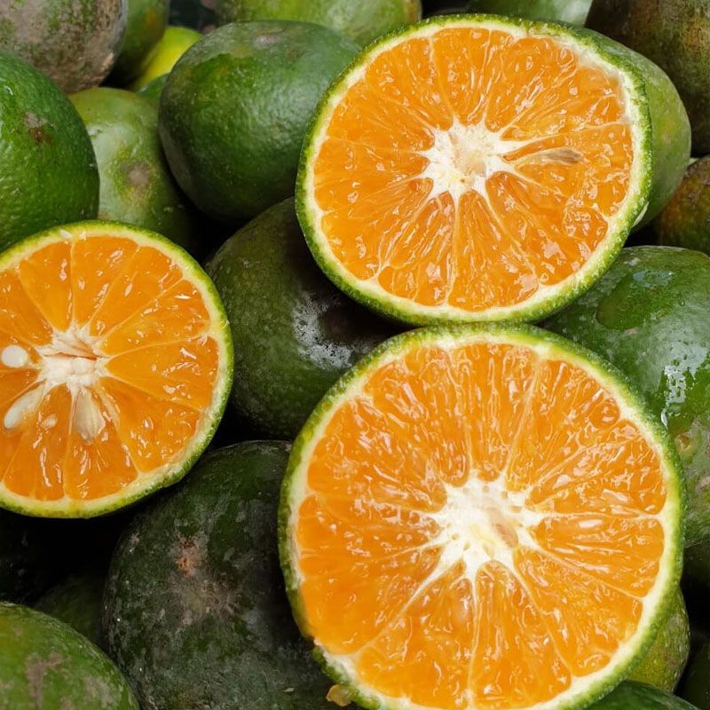 Cam sành loại 1