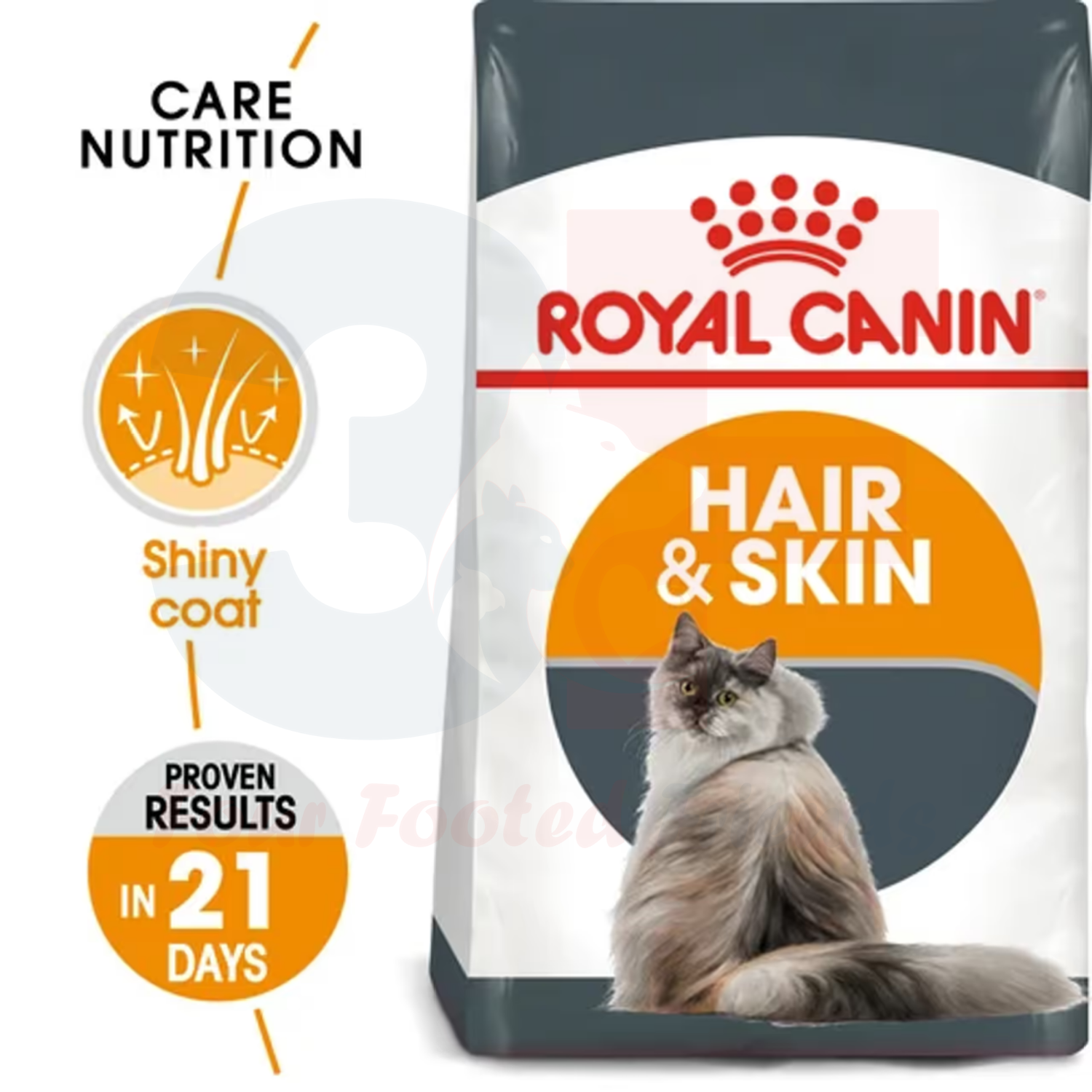 Thức Ăn Chăm Sóc Da Lông Dành Cho Mèo Royal Canin Hair Skin