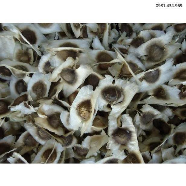 Hạt chùm ngây khô 1kg