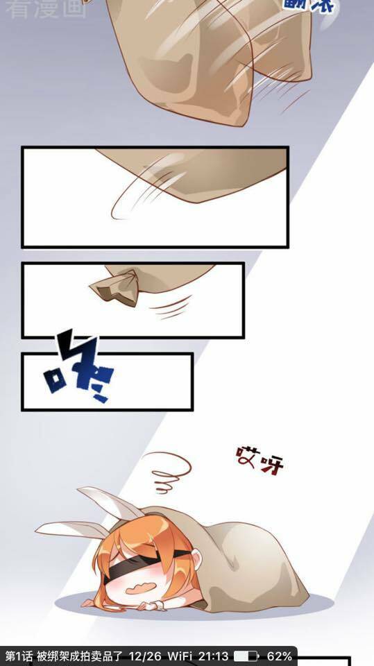 người vợ bí ẩn của tổng tài chapter 1 15