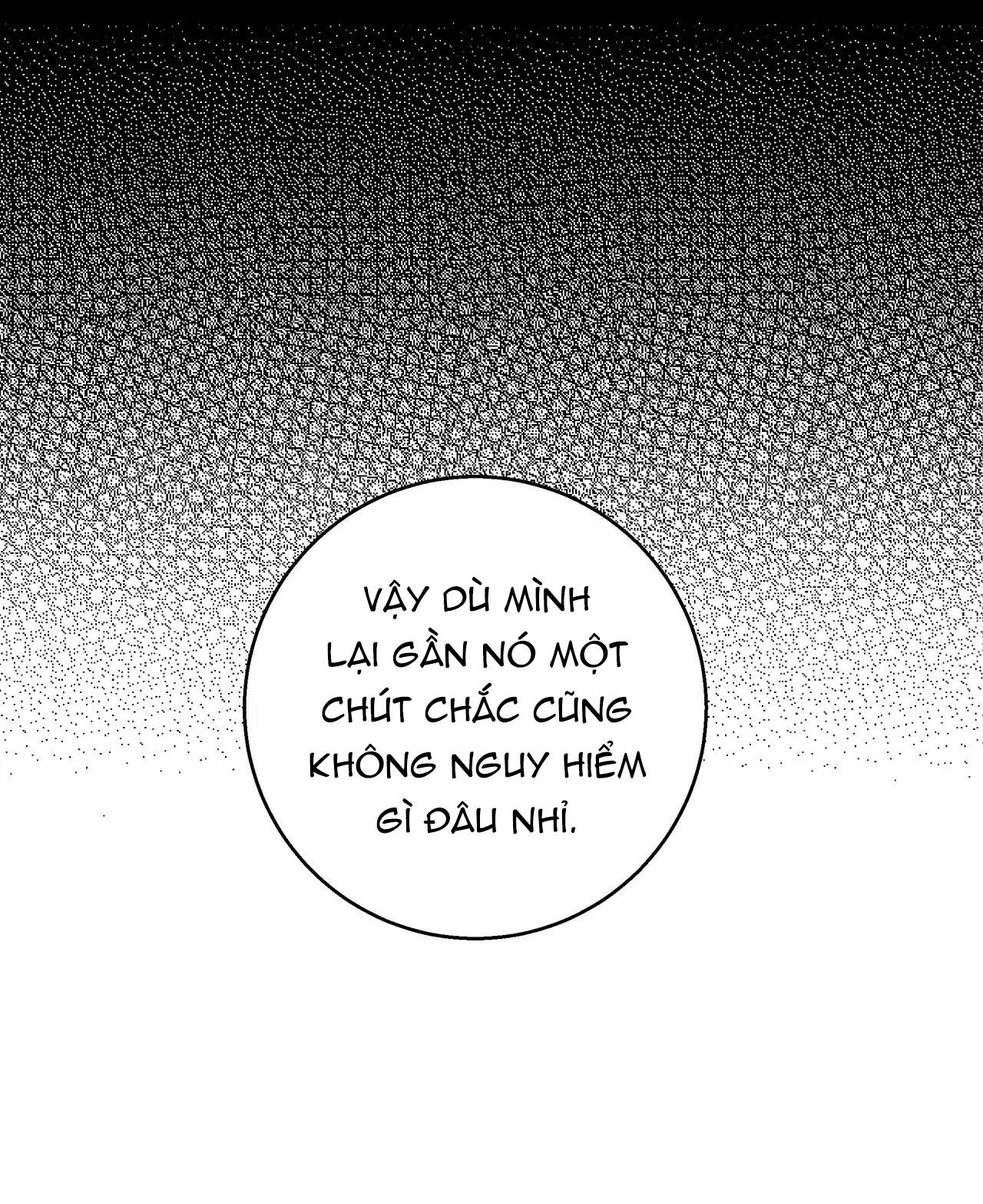 bl cổ trang - âu cổ ngắn nhà kim chapter 11.3 23