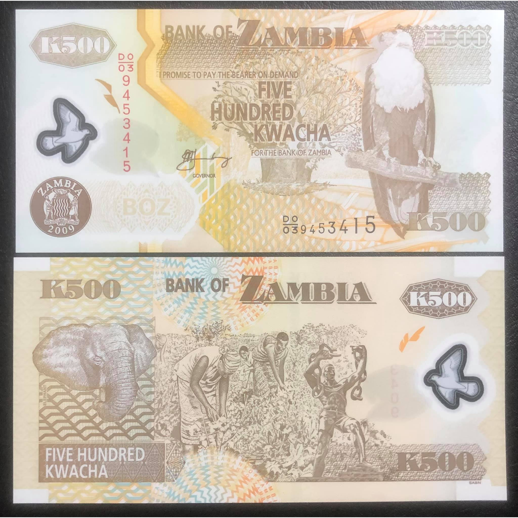 Tờ 500 kwacha polimer của Zambia sưu tầm