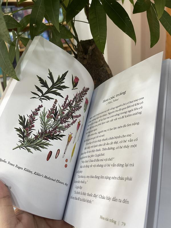 Sách - Cỏ cây hoa lá (Nhã Nam HCM)