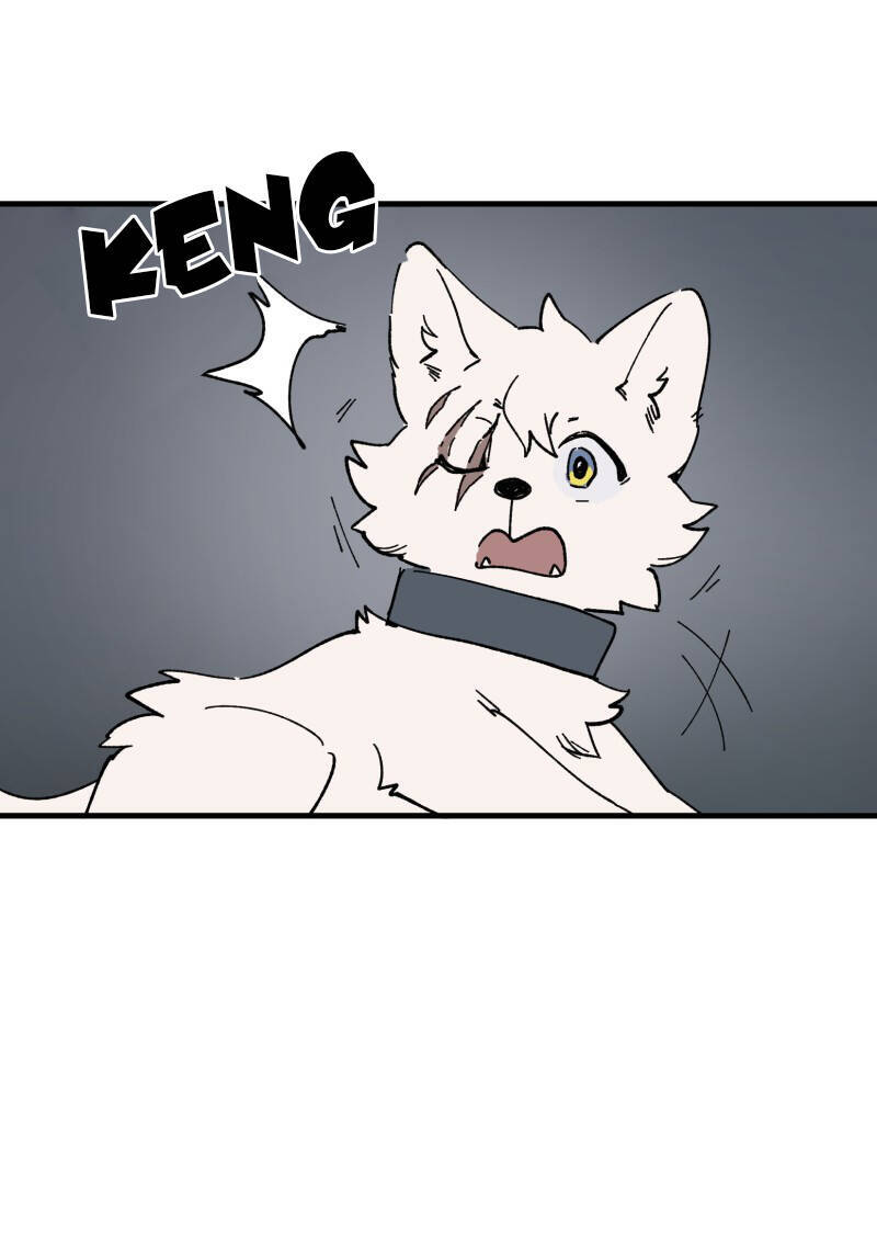 lumine - cội nguồn ánh sáng chapter 148 26