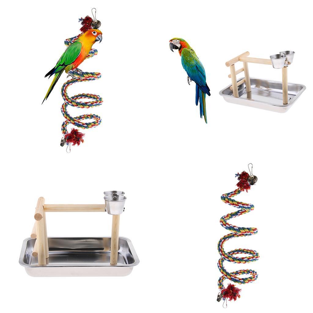Bird Play Stand Cockatiel Playground Perch Gym with Parrot Swing Toy
