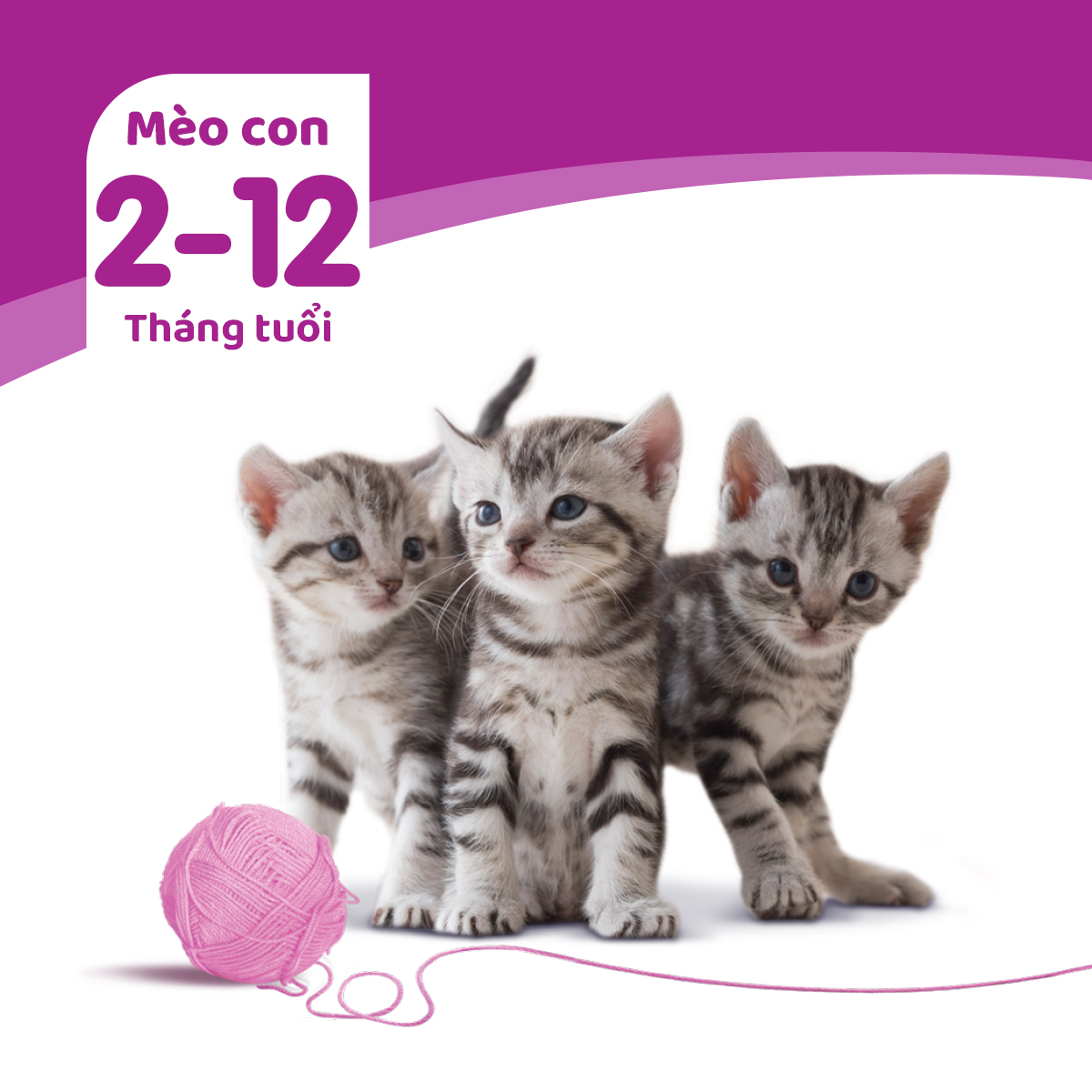 WHISKAS Thức ăn cho mèo con dạng hạt vị cá thu 450g