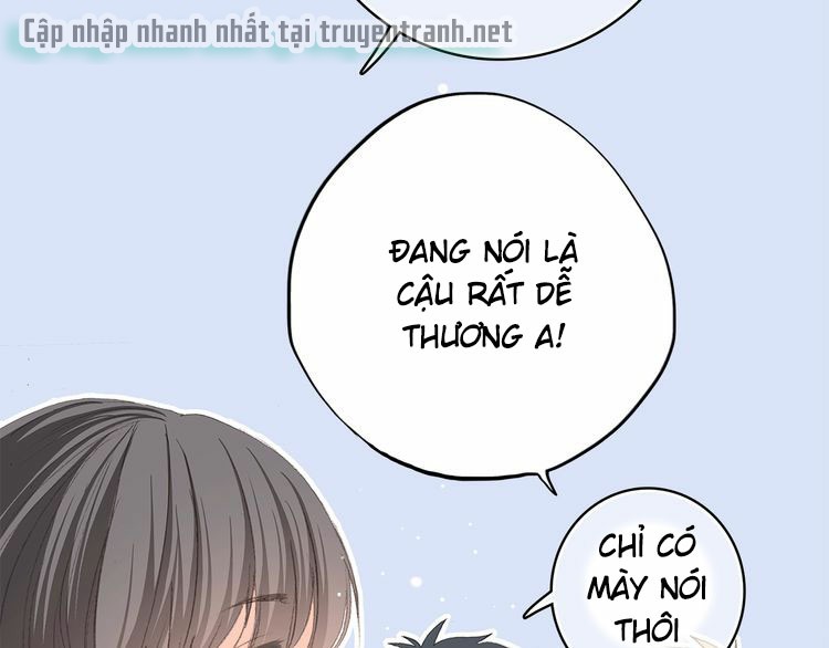 Con Tim Rung Động chapter 24 - Trang 21