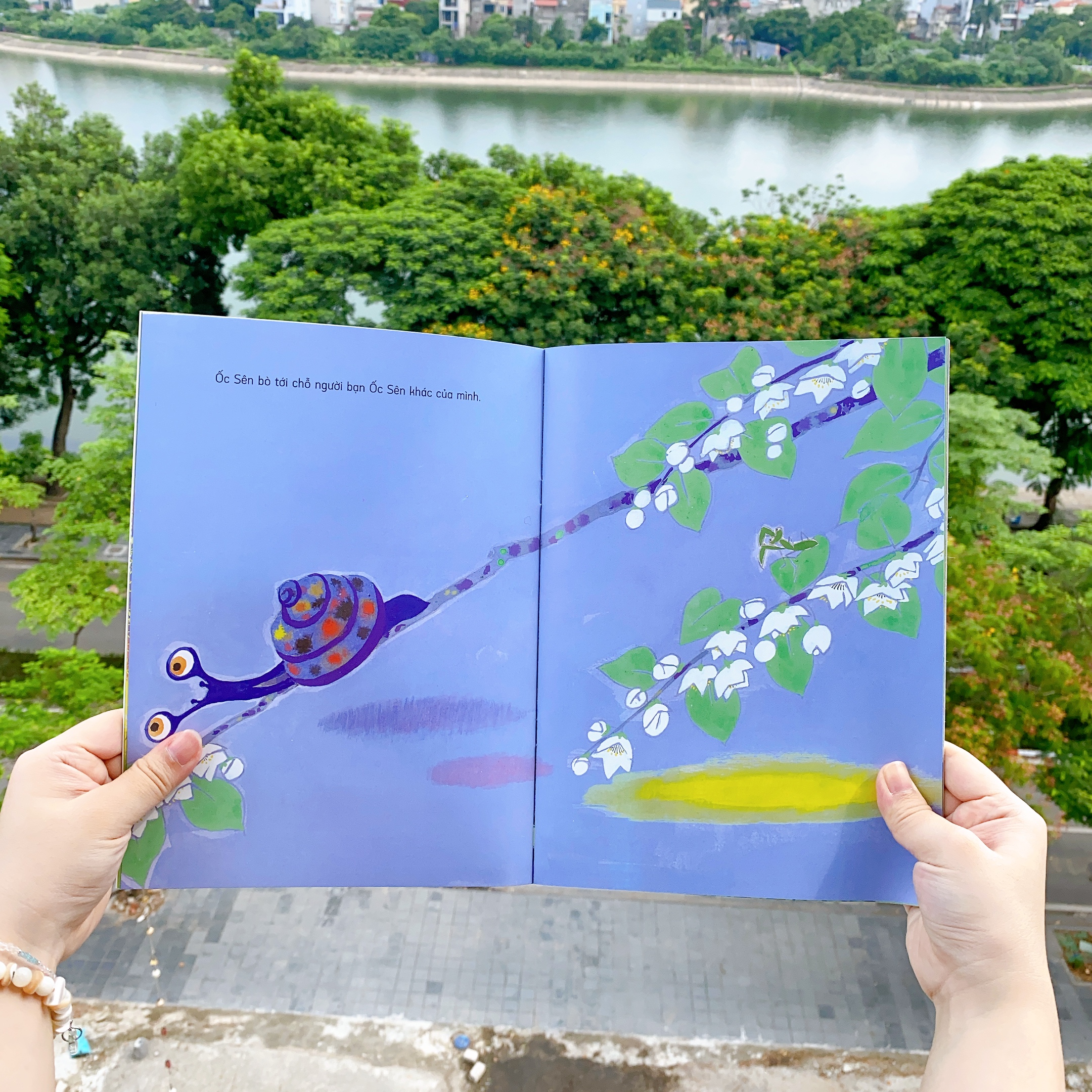 Ehon - Phát triển tư duy - Nỗi buồn ốc sên - cho bé  3-6 tuổi.
