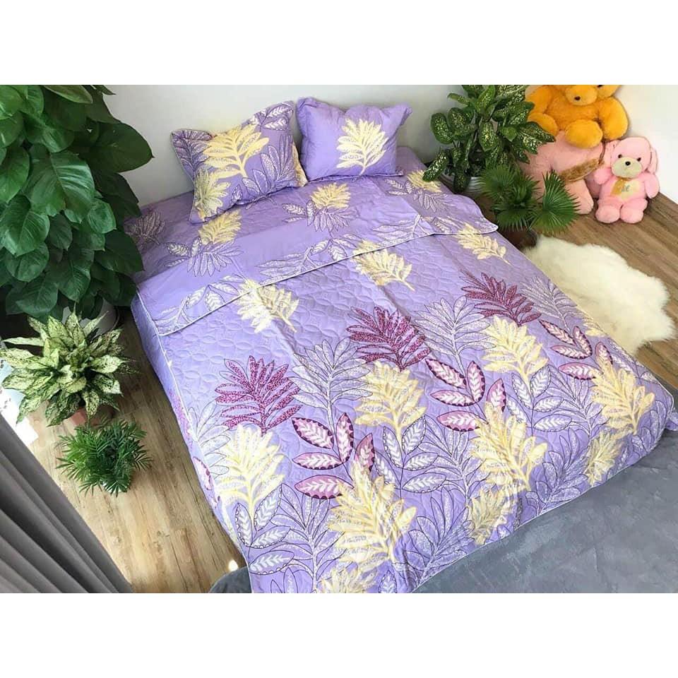 BỘ CHĂN GA COTTON POLY TRẦN BÔNG