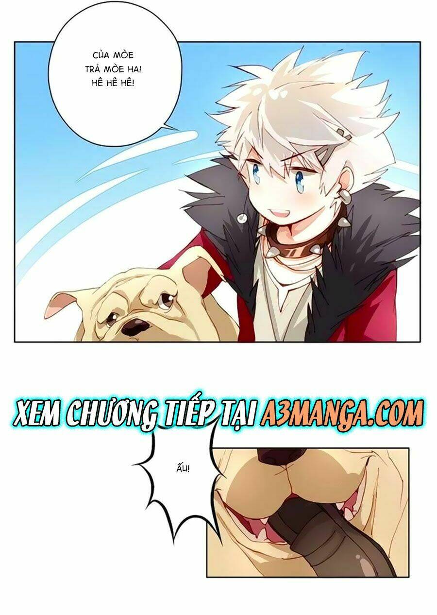 trọng sinh chi tinh quang thôi xán chapter 5 17