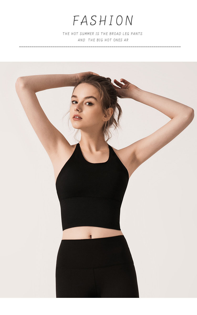 Áo Bra nữ tập Gym Yoga cao cấp thoáng khí siêu đẹp mã 221WX.