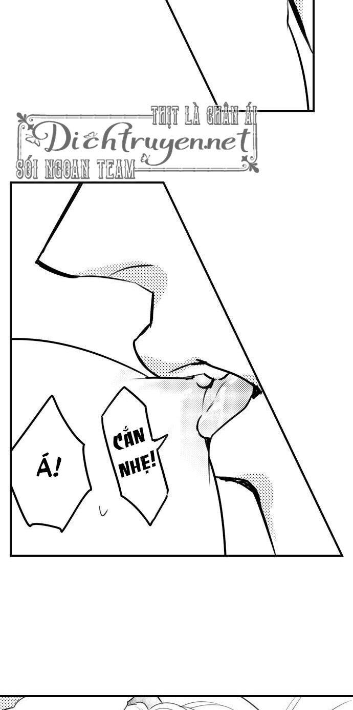 trêu ghẹo "gấu" nhà tôi! chapter 27 6