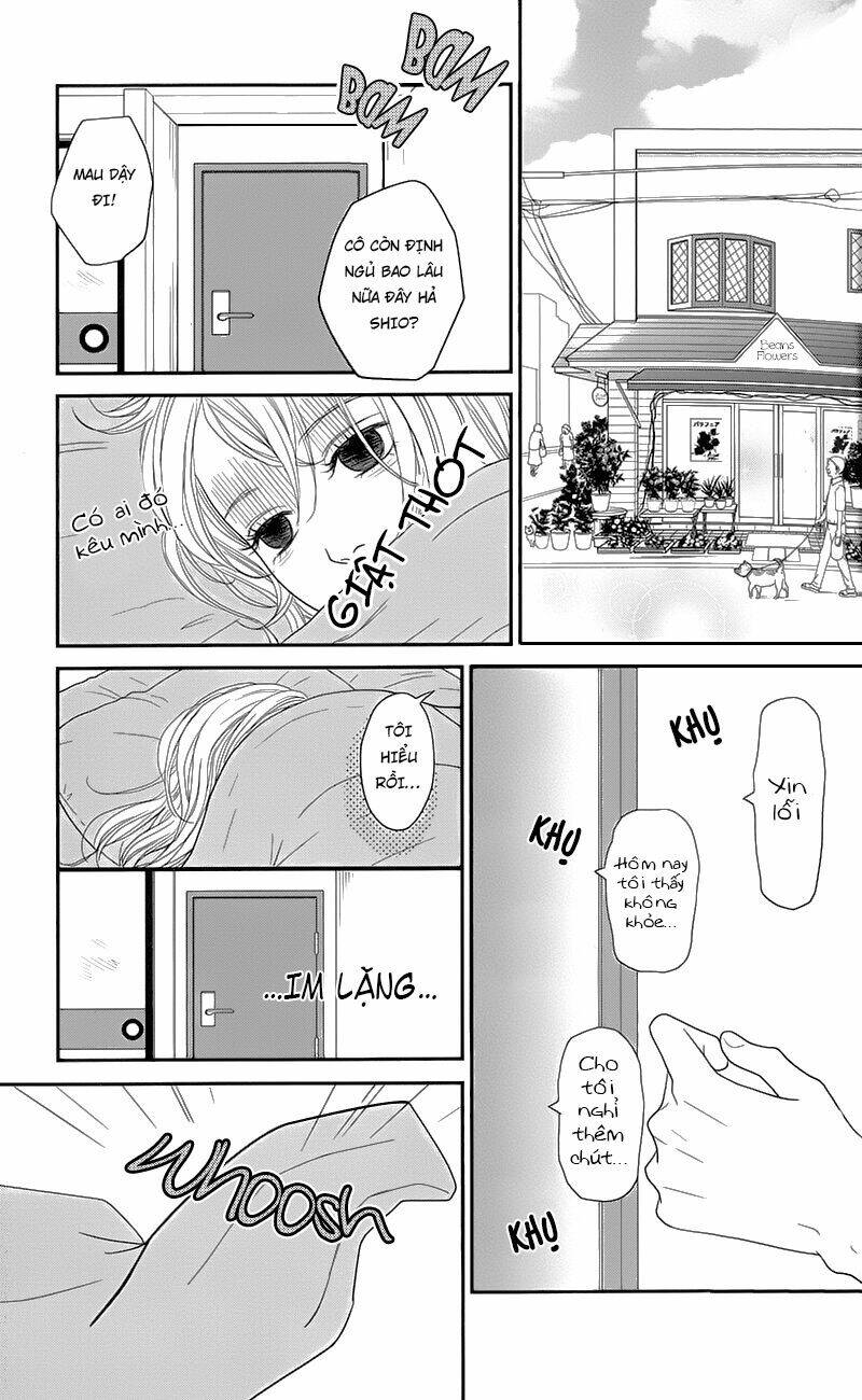 đóa hoa năm ấy chapter 1 16