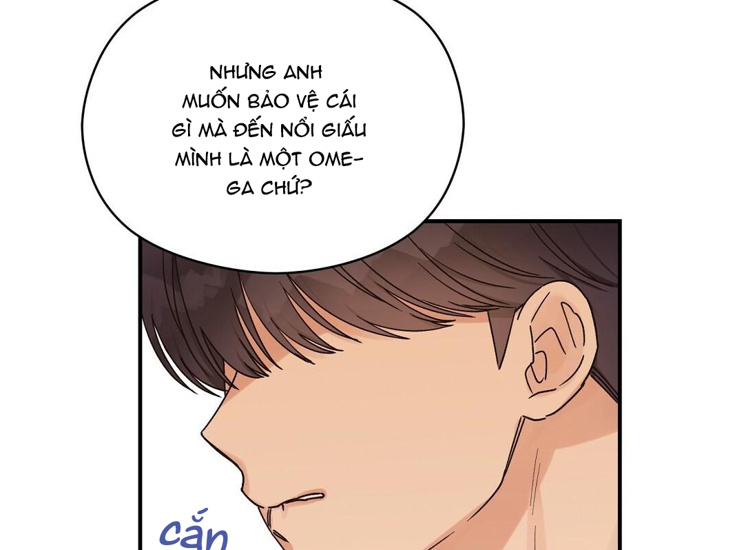 phức cảm tự ti của omega chapter 15 146