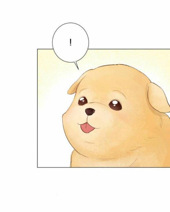 nhất định chúng ta sẽ được hạnh phúc chapter 79.2 3