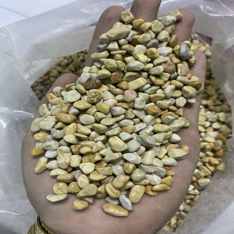 Sỏi Vàng Vò Trang Trí Bể Cá Trang Trí Sân Vườn