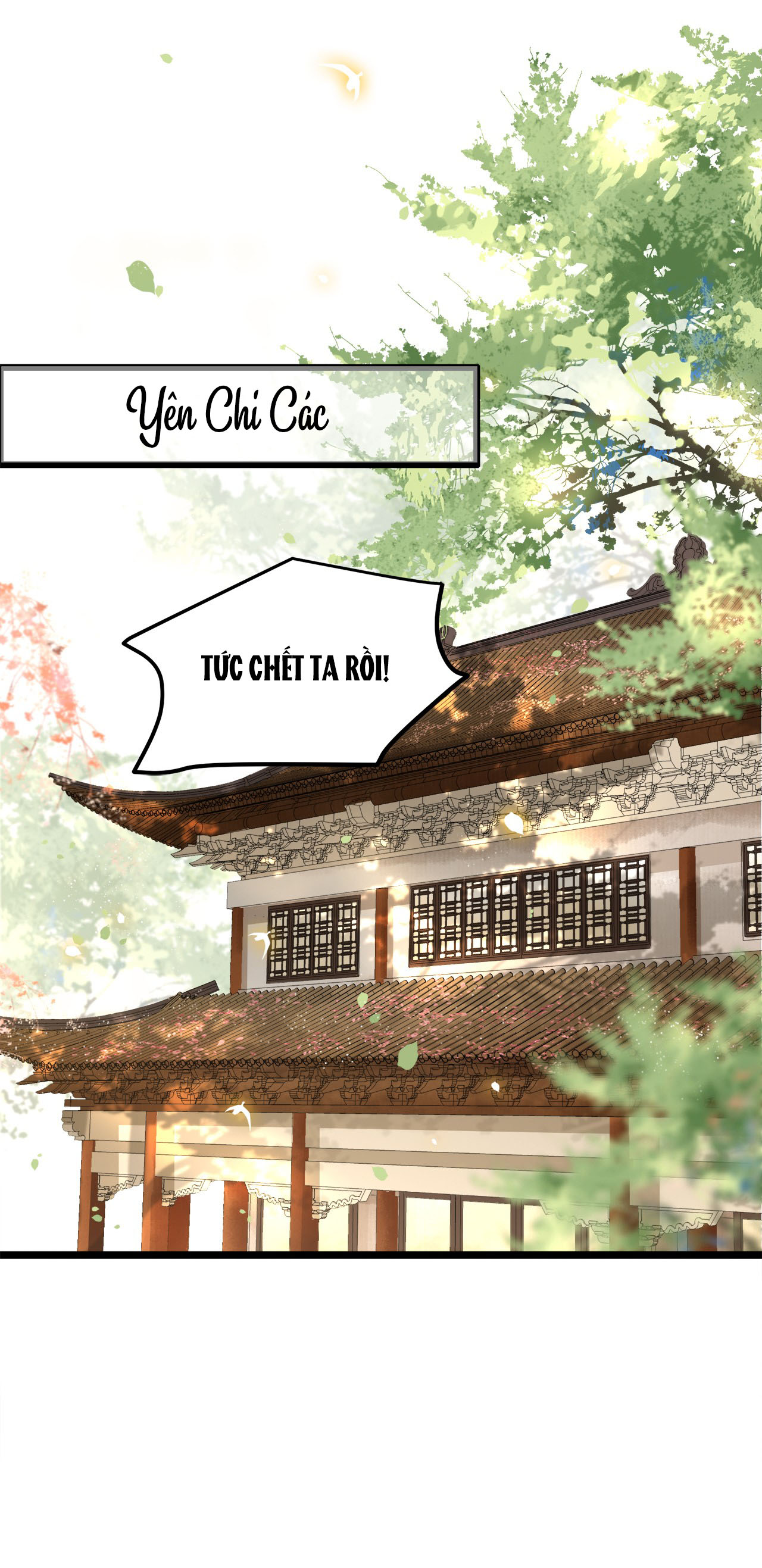 phượng hoàng vu phi chapter 40 17