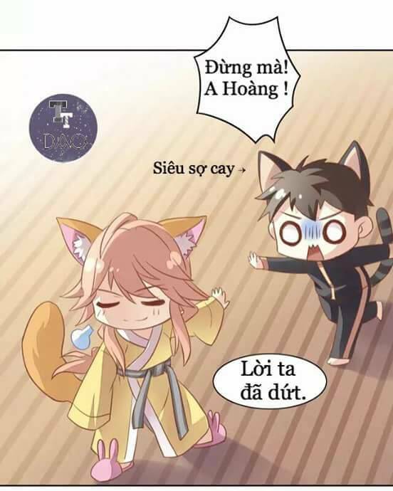 dưới móng vuốt mèo chapter 6 29