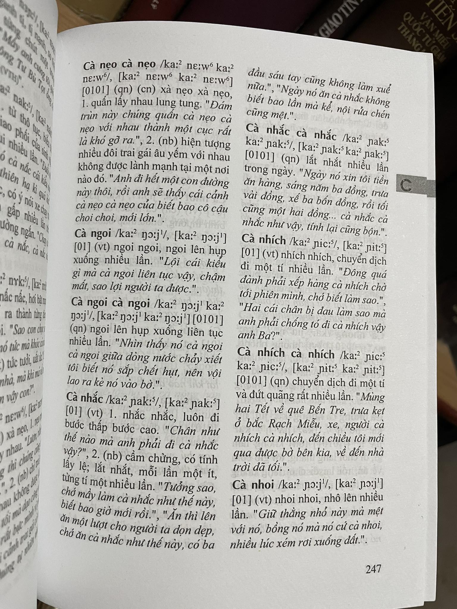 TỪ ĐIỂN TỪ NGỮ NAM BỘ (BÌA CỨNG)