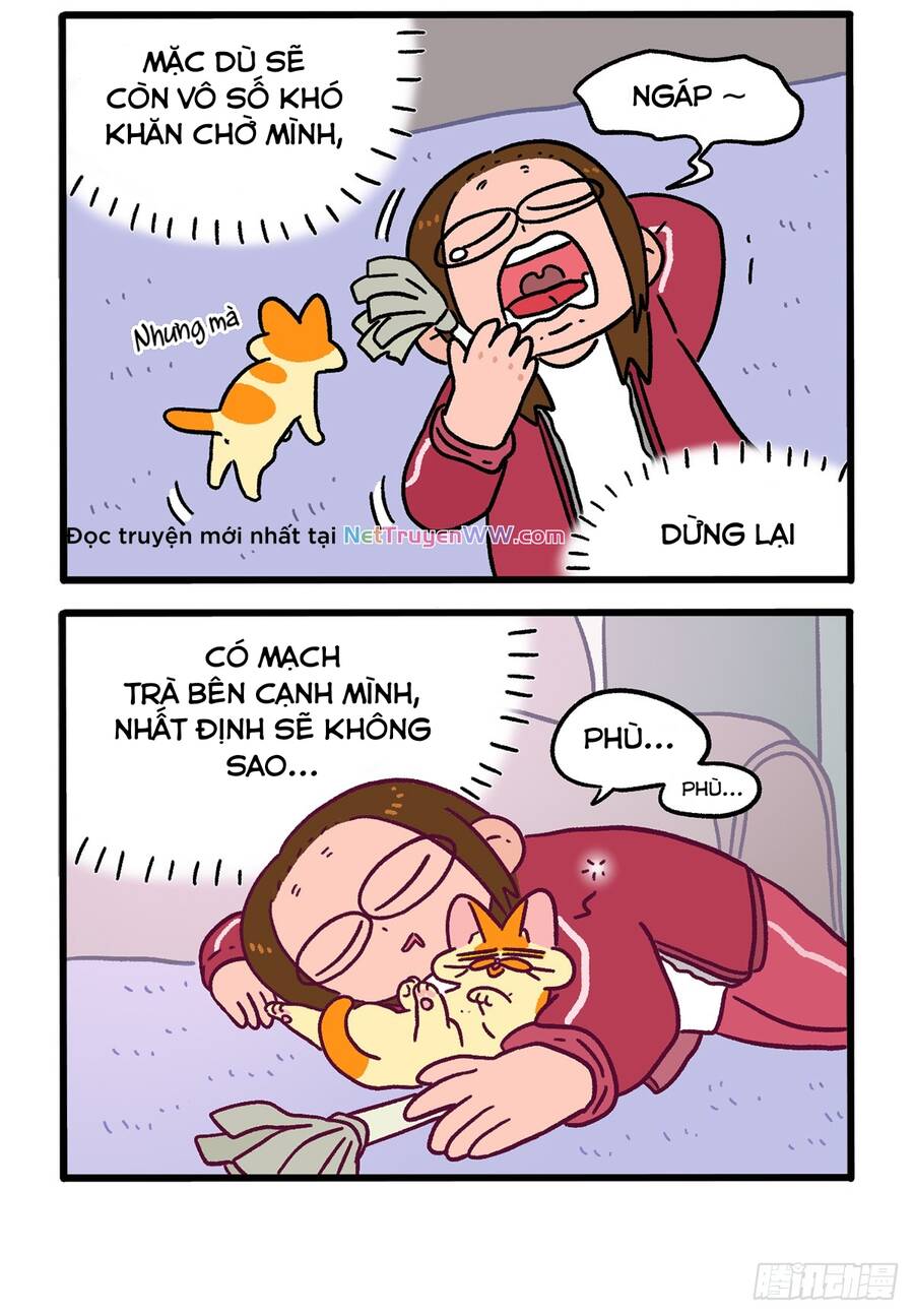 a mãn và mạch trà chapter 148.1 4