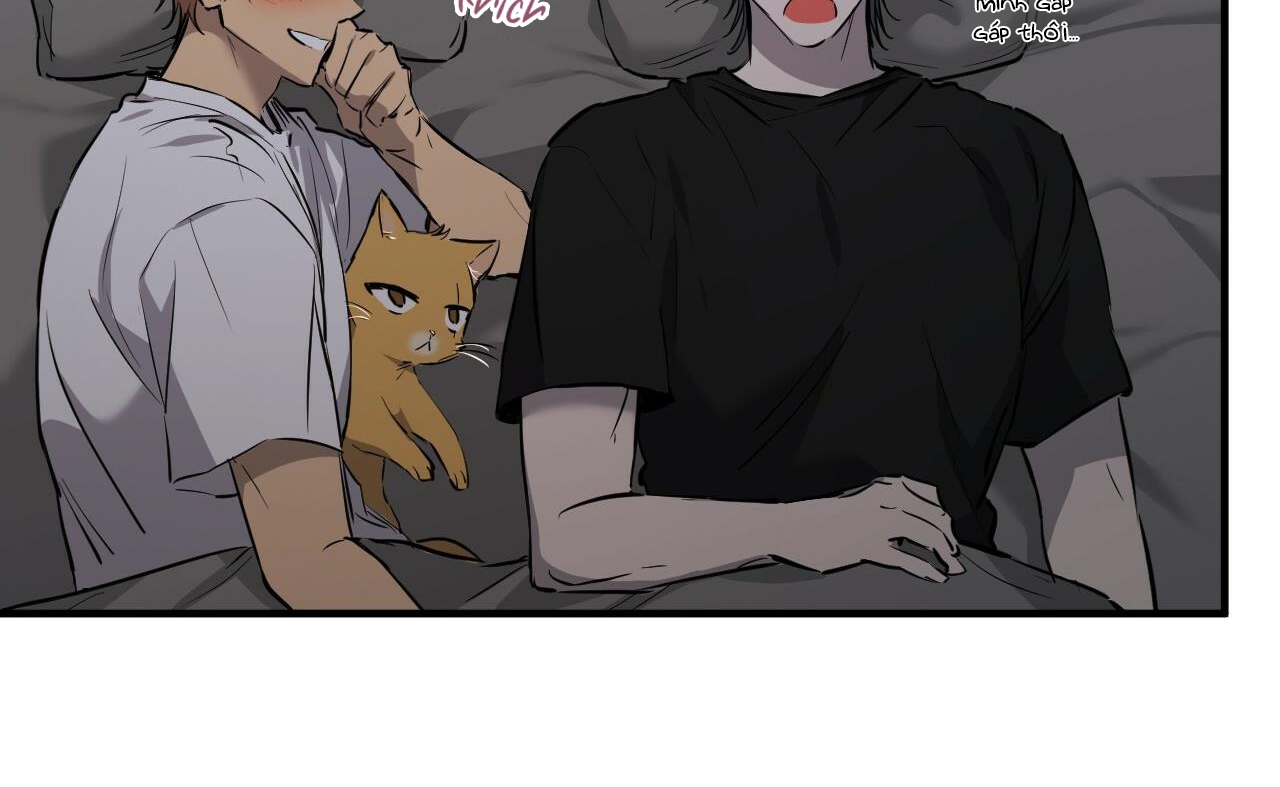 những chú thỏ của hapypy chapter 52 80