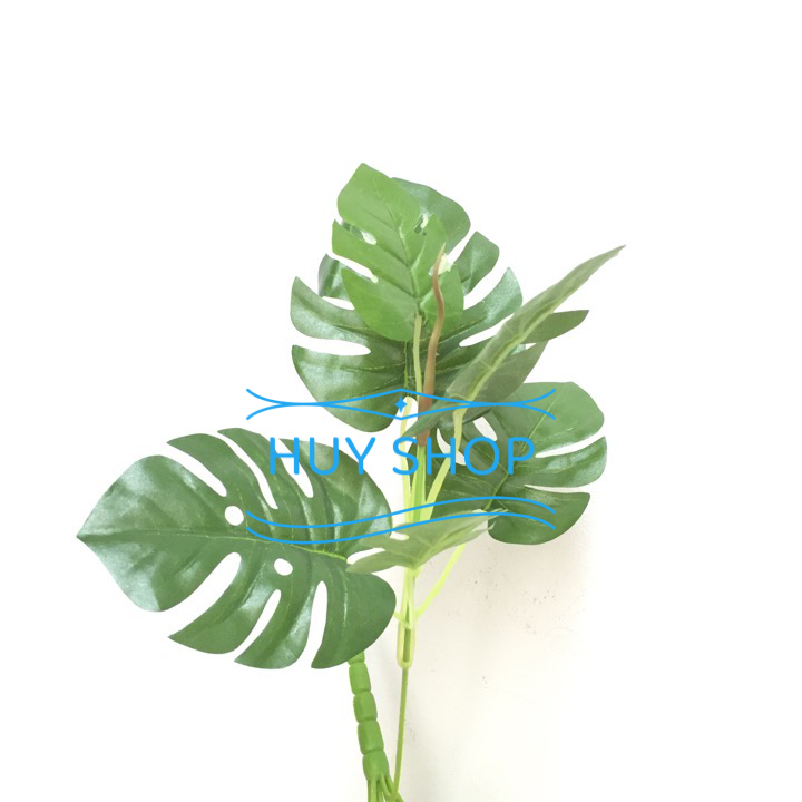 HOA CỎ NHÂN TẠO - BỤI LÁ TRẦU BÀ TRANG TRÍ BACKGROUND